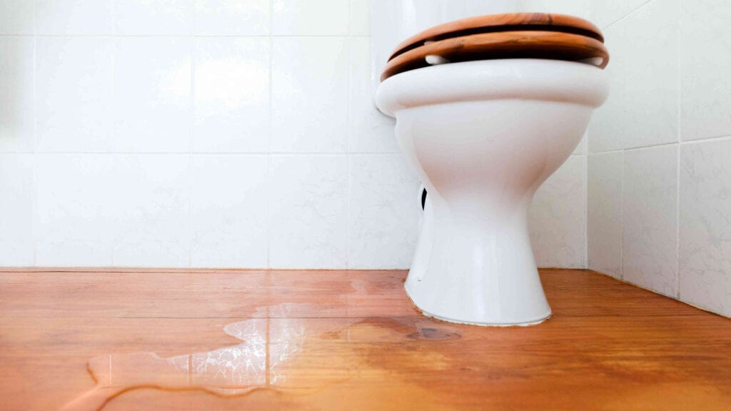 Stop Toilets from Leaking