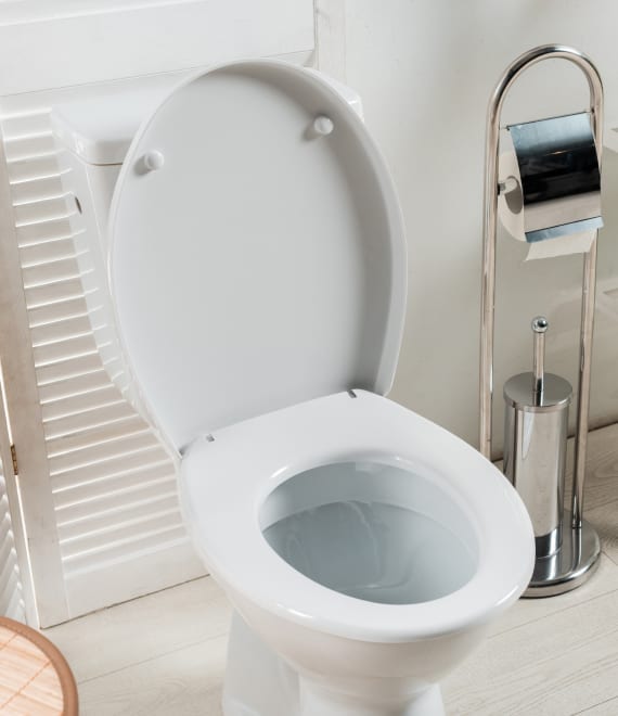 toilet installations and repair